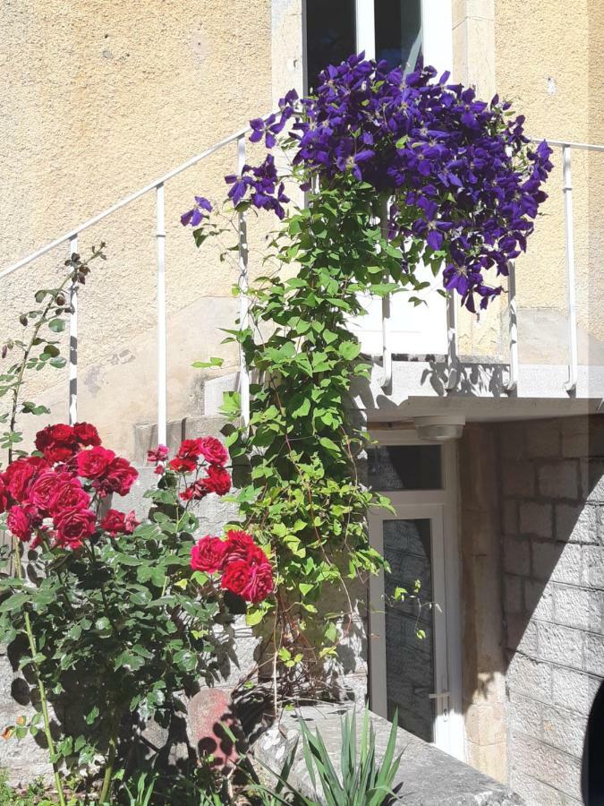 Gite Moulin De La Serree ニュイ・サンジョルジュ エクステリア 写真